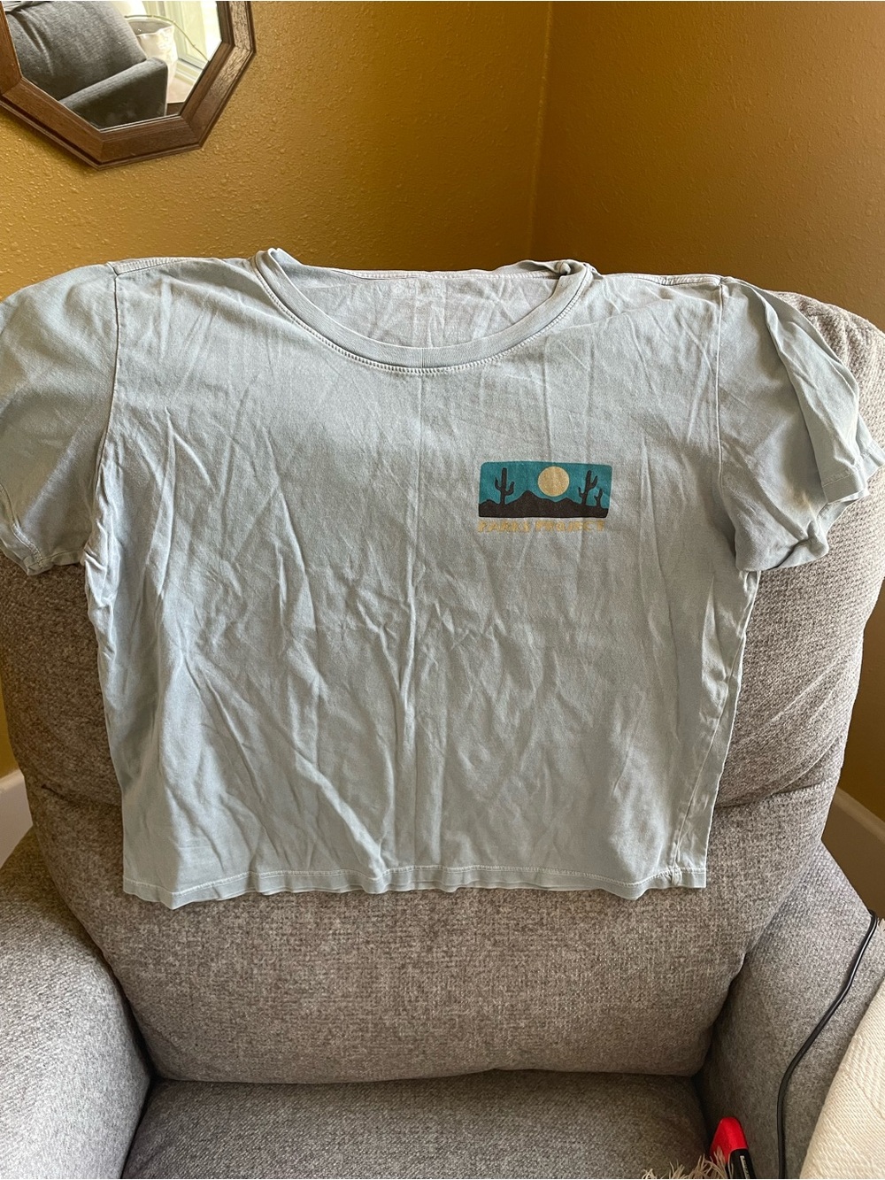 Parks Project Cropped Tee